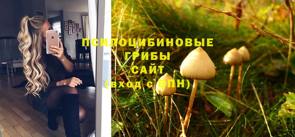 МДПВ Балахна