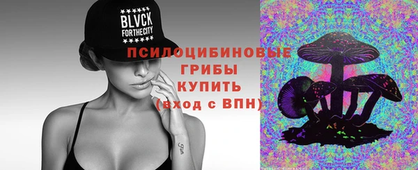 ПСИЛОЦИБИНОВЫЕ ГРИБЫ Балабаново